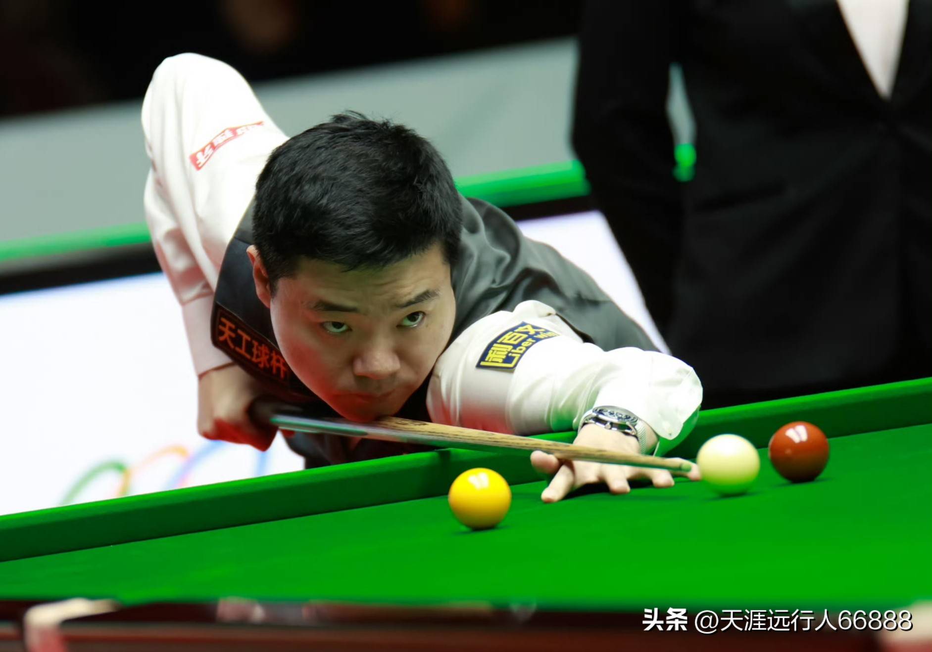 成功举办 成功举办