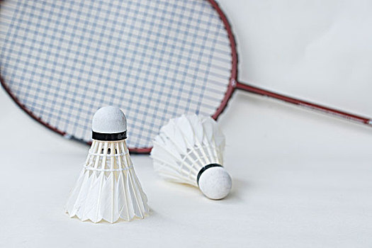 东道主卡塔 东道主卡塔